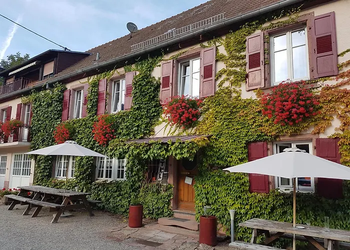 Du Haut Koenigsbourg - Calme Et Nature